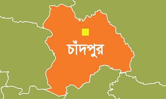 কুরবানির আগে চাঁদপুরে গরু চুরির হিড়িক