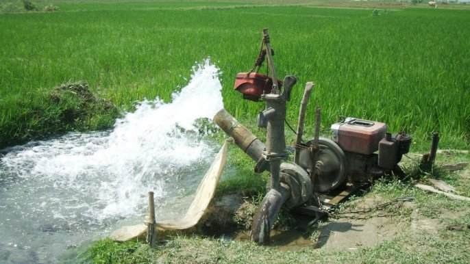 বোরো মৌসুমে সেচ পাম্পের বিদ্যুৎ সংযোগ বিচ্ছিন্ন, সংকটে কৃষক