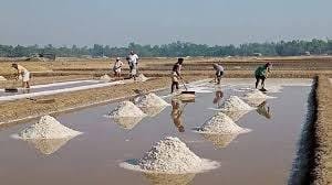 গরমে কক্সবাজারে লবণ উৎপাদন বেড়ে দ্বিগুণ