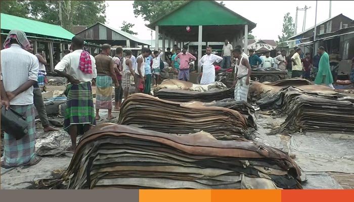 টাঙ্গাইলে চামড়ার ব্যবসায় ধস, বিপাকে মৌসুমি ব্যবসায়ীরা