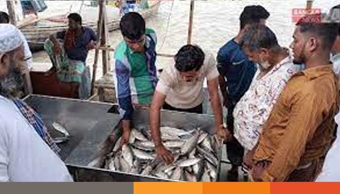 মেঘনা ও তেঁতুলিয়ায় ইলিশের সংকট, বিপাকে ভোলার জেলেরা