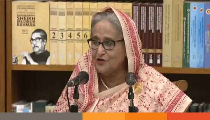 pm ভারতে গেলে বলে দেশ বিক্রি করে দিয়েছি: প্রধানমন্ত্রী