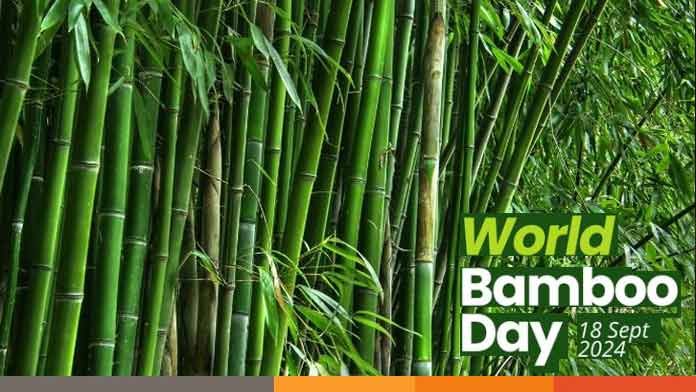 Bamboo আজ বিশ্ব বাঁশ দিবস, জানুন বাঁশ খাওয়ার উপকারিতা
