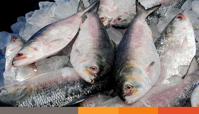 কটূক্তির পরেও ইলিশ রপ্তনি ভালো চোখে দেখছে না বিএনপি কটূক্তির পরেও ইলিশ রপ্তনি ভালো চোখে দেখছে না বিএনপি