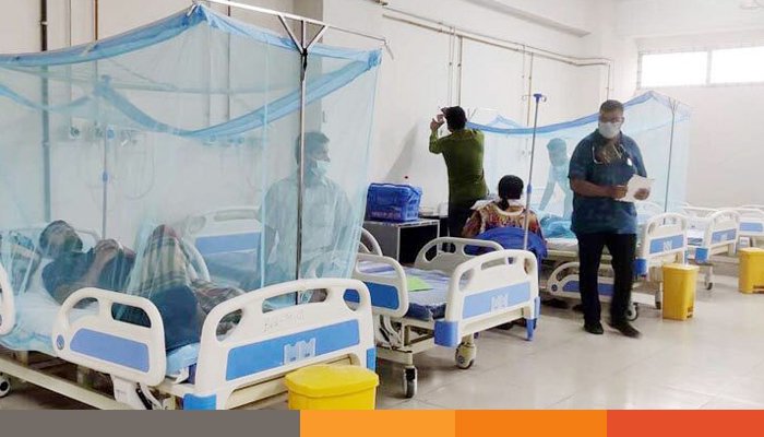 ডেঙ্গুতে আরও ৩ জনের মৃত্যু, হাসপাতালে ৮২৯