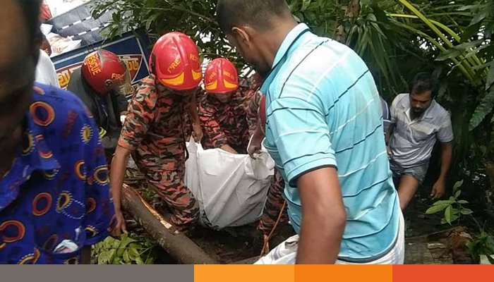 বরিশালে ট্রাকের সাথে সংঘর্ষে অটোরিকশার চালক ও যাত্রী নিহত