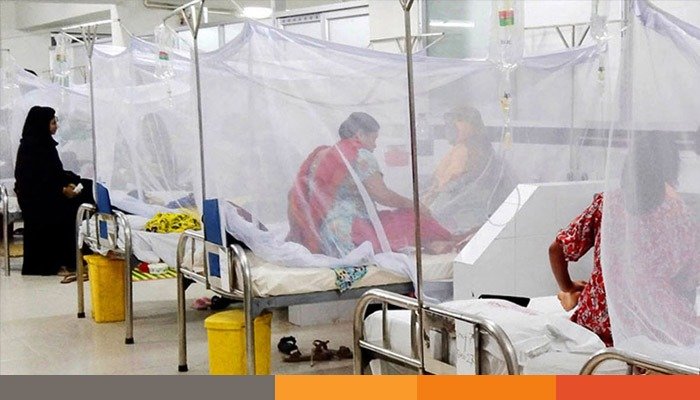 ডেঙ্গুতে আরও ৭ জনের মৃত্যু