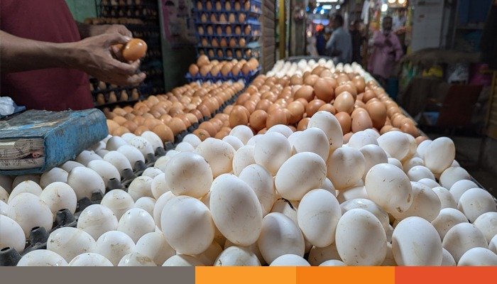 সাড়ে ৪ কোটি পিস ডিম আমদানির অনুমোদন