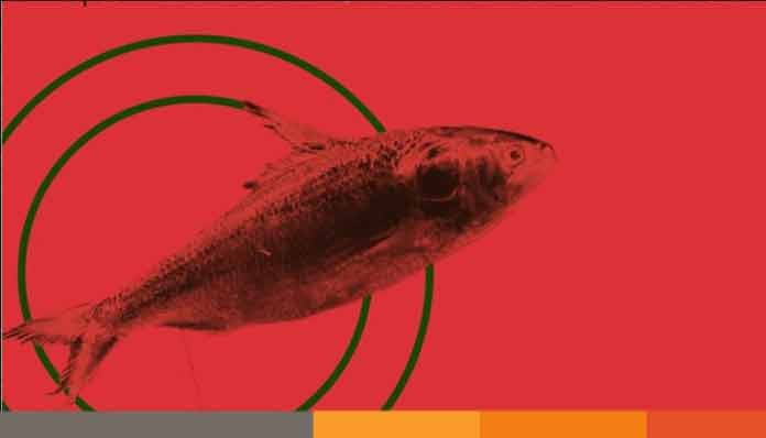 উঠছে নিষেধাজ্ঞা, ইলিশ ধরার অপেক্ষায় জেলেরা