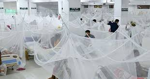 ডেঙ্গুতে মারা গেছেন আরও ২ জন