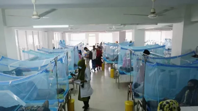 ডেঙ্গুতে আরও ৩ জনের মৃত্যু