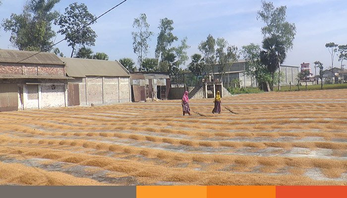 দুই বছরে এক উপজেলায় ৮৩ টি অটো রাইস মিল!