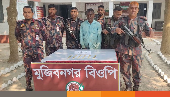 মেহেরপুরে স্বর্ণের বার সহ ভারতীয় নাগরিক আটক