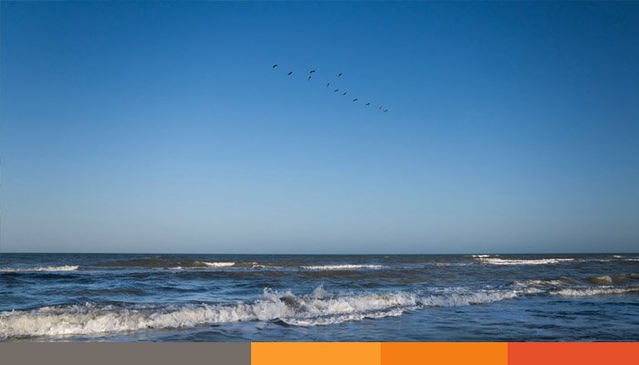 মেক্সিকো উপসাগরের নাম বদল, পাত্তা দিচ্ছে না কিউবা-মেক্সিকো