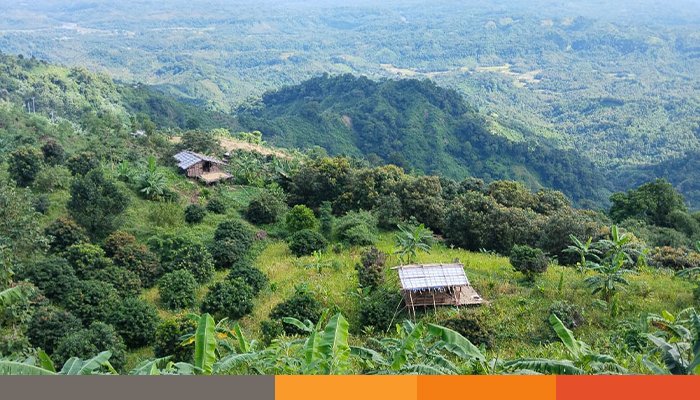 বান্দরবানে ২২ জন শ্রমিককে অপহরণ