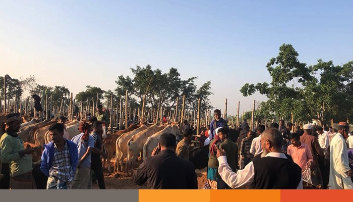 পুনরায় নির্দেশনা অমান্য: জনতার বাজারে পশুরহাটে টাকার বিনিময়ে প্রত্যয়নপত্র