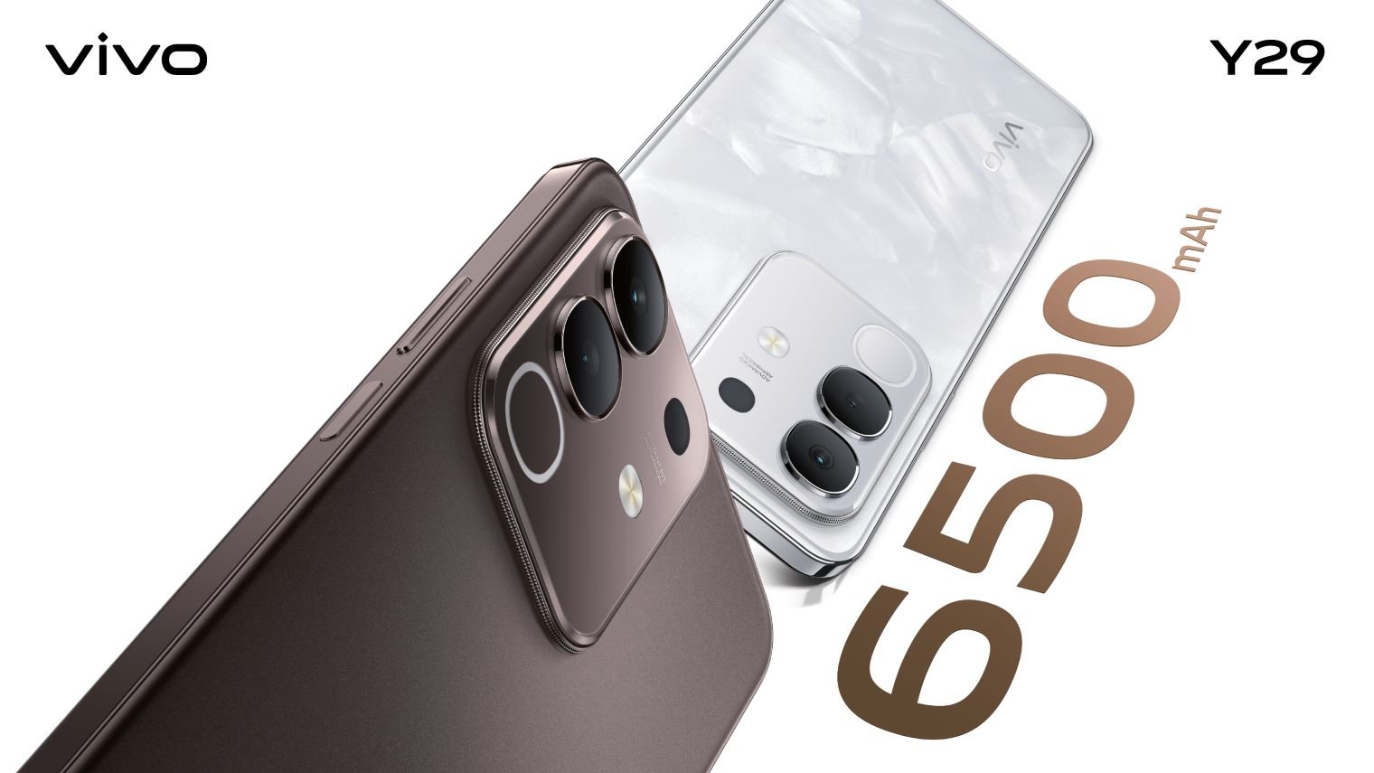 দীর্ঘস্থায়ী ব্যাটারি ও টেকসই ডিজাইন সমৃদ্ধ ভিভো ওয়াই২৯