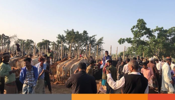 নির্দেশনা অমান্য আবারো জনতার বাজার