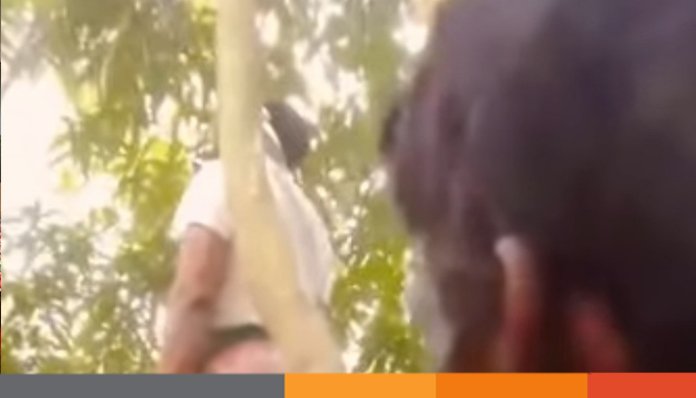 নোয়াখালীতে ব্যবসায়ীকে হত্যা করে গাছে ঝুলিয়ে রাখার অভিযোগ