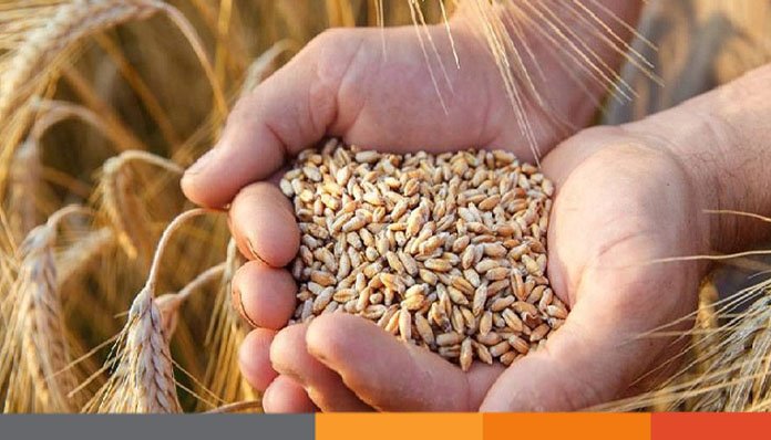 প্রায় ৫০ হাজার ২oo টন গম এলো আর্জেন্টিনা থেকে প্রায় ৫০ হাজার ২oo টন গম এলো আর্জেন্টিনা থেকে