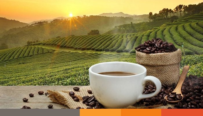 যুক্তরাষ্ট্রে কফি চুরি বৃদ্ধি, সক্রিয় চোরচক্র