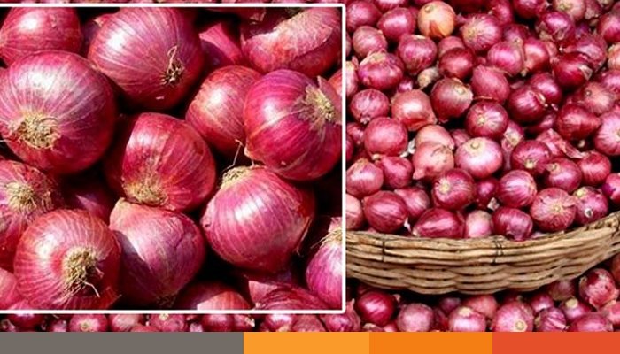 হিলি বাজারে পেঁয়াজের দাম কমায় স্বস্তিতে ক্রেতা-বিক্রেতারা দিনাজপুরের হাকিমপুর উপজেলার হিলি স্থলবন্দর বাজারে পেঁয়াজের দাম কমে গিয়ে স্বস্তি ফিরেছে সাধারণ ক্রেতা এবং বিক্রেতাদের মধ্যে। রোজার প্রথম দিনে ৩৫ টাকা কেজি দরে বিক্রি হওয়া পেঁয়াজ এখন বিক্রি হচ্ছে ২৫ টাকা কেজি দরে। ব্যবসায়ীরা জানিয়েছেন, দেশের উৎপাদন বৃদ্ধি এবং আমদানির ফলে বাজারে পেঁয়াজের দাম কমে গেছে। হিলি বাজারের পেঁয়াজ ব্যবসায়ীরা জানান, এবার দেশি পেঁয়াজের দাম কম থাকায় পাবনা, ফরিদপুর, কুষ্টিয়া এবং নাটোর থেকে পাইকারি পেঁয়াজ এনে বিক্রি করতে পোরছে তারা। দাম কম হওয়াতে বেচাকেনা অনেক বেশি হচ্ছে। এদিকে, বাজারে পেঁয়াজ কিনতে আসা সাধারণ ক্রেতারা বলেন, রমজানের প্রথম দিন দুই কেজি পেঁয়াজ ৭০ টাকা দিয়ে কিনলেও, আজ এক কেজি পেঁয়াজ বিক্রি হচ্ছে মাত্র ২৫ টাকায়। দাম কম থাকায় বাজার করা সহজ হয়ে গেছে। হোটেল ব্যবসায়ীরা জানান, রমজানে পেঁয়াজের চাহিদা বেশি থাকে, কিন্তু এবার দাম কমে যাওয়ায় আমাদের ব্যবসা ভালো হচ্ছে এবং লাভও বাড়ছে। পেঁয়াজের দাম কমে যাওয়ায় হিলি বাজারের নিম্ন আয়ের মানুষদের মাঝে স্বস্তি ফিরে এসেছে। ব্যবসায়ীদের মতে, দেশীয় উৎপাদন ও বাজারে আমদানির সুবিধা মেলার কারণে পেঁয়াজের দাম কমেছে, যা সাধারণ মানুষ ও ব্যবসায়ীদের জন্য সুখবর। এভাবে চলতে থাকলে, চলতি মৌসুমে পেঁয়াজের দাম আরও স্থিতিশীল থাকতে পারে।