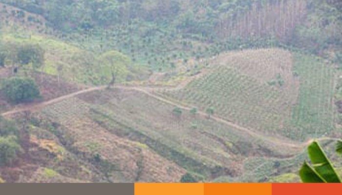 ফের সীমান্তে স্থলমাইন বিস্ফোরণে যুবকের পা বিচ্ছিন্ন