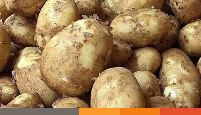 হিমাগার মালিক-রপ্তানিকারক-ফড়িয়া: আলুর বাজার কার নিয়ন্ত্রণে?