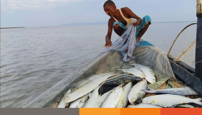 সাগরে মাছ ধরার ওপর ৫৮ দিনের নিষেধাজ্ঞা