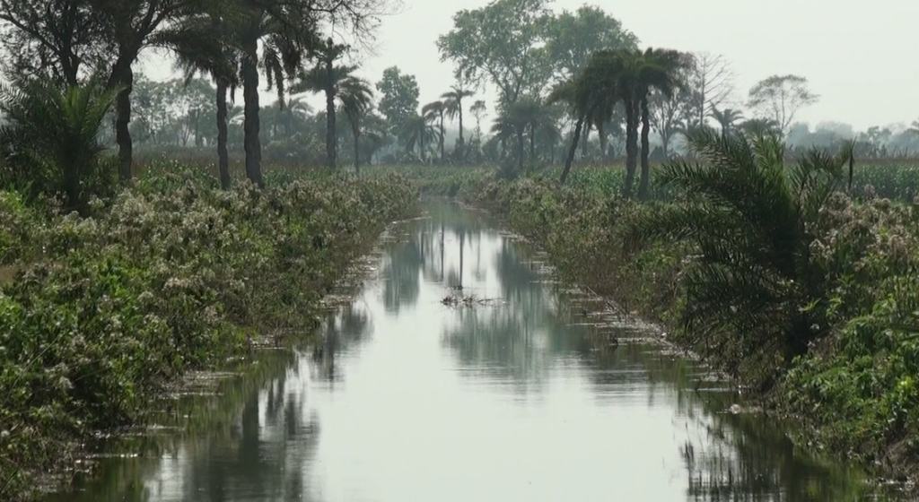 চুয়াডাঙ্গা