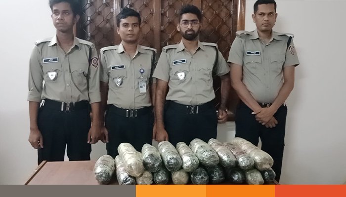 মেহেরপুরে গোল্ডেন পরিবহনে অভিযান, ১০ কেজি গাঁজা উদ্ধার