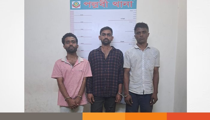 সংঘবদ্ধ ডাকাত দলের তিন সদস্য দেশীয় অস্ত্রসহ গ্রেপ্তার