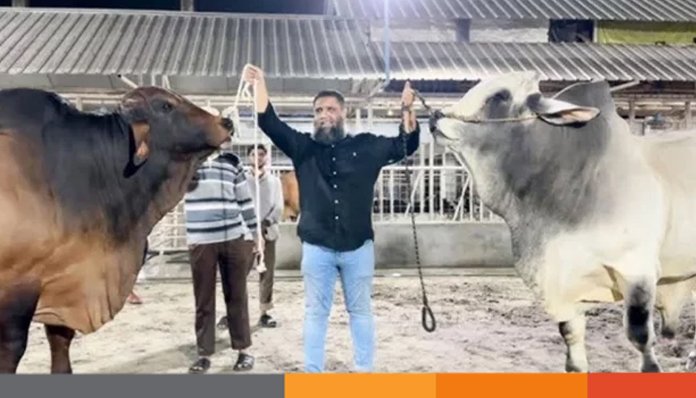 আদালতে সাদিক অ্যাগ্রোর ইমরান আদালতে সাদিক অ্যাগ্রোর ইমরান