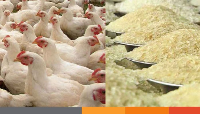 কেজিতে ২০ টাকা বেড়েছে ব্রয়লার মুরগির দাম, চালও চড়া কেজিতে ২০ টাকা বেড়েছে ব্রয়লার মুরগির দাম, চালও চড়া