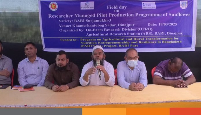 দিনাজপুরে সূর্যমুখীর পাইলট উৎপাদন নিয়ে মাঠ দিবস অনুষ্ঠিত