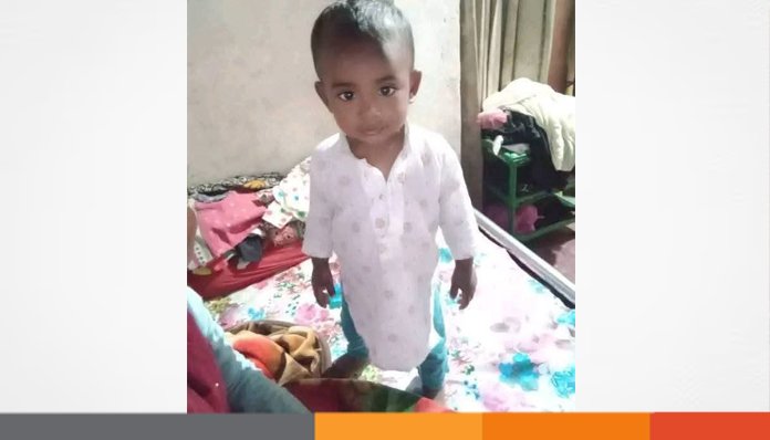 বাড়ির উঠান থেকে শিশুটিকে টেনে নিয়ে গেল শিয়াল বাড়ির উঠান থেকে শিশুটিকে টেনে নিয়ে গেল শিয়াল