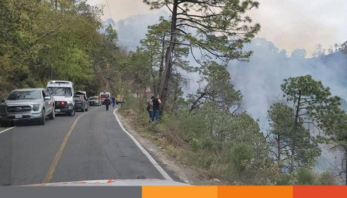 মেক্সিকোতে ৪০০ ফুট খাদে গাড়ি পড়ে নিহত ১২, আগুনে পুড়ল ২ হেক্টর জমি মেক্সিকোতে ৪০০ ফুট খাদে গাড়ি পড়ে নিহত ১২, আগুনে পুড়ল ২ হেক্টর জমি