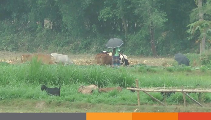 মেহেরপুরের বাতাসে যেন আগুনের হল্কা তাপমাত্রা ৩৯.৮ ডিগ্রি মেহেরপুরের বাতাসে যেন আগুনের হল্কা, তাপমাত্রা ৩৯.৮ ডিগ্রি