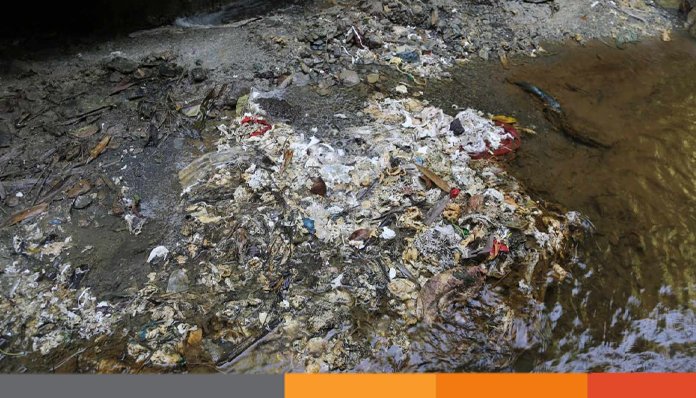 লামার রাবার ফ্যাক্টরি স্থাপন; ক্ষতিগ্রস্ত হবে কোয়ান্টামসহ স্থানীয়রা