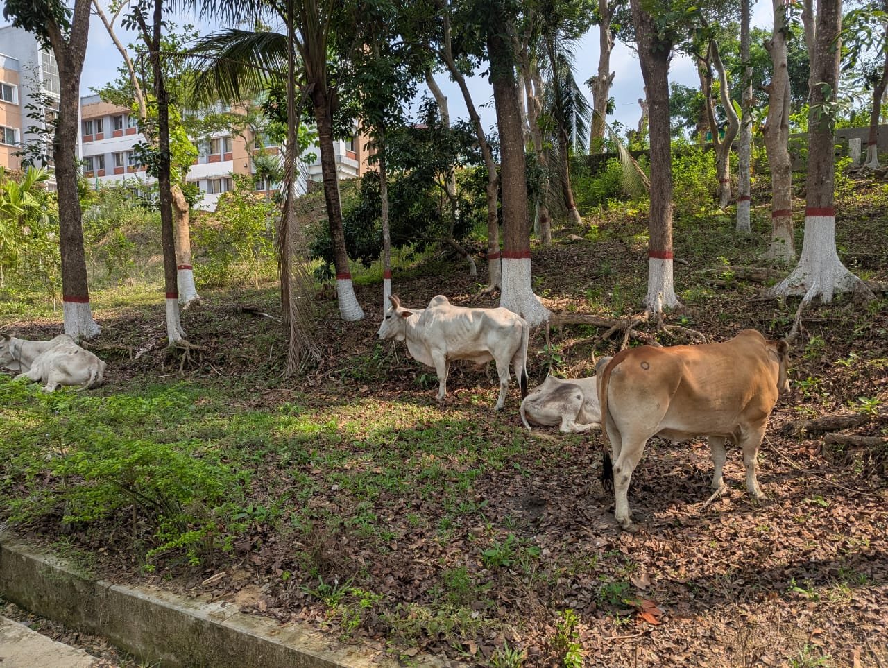 WhatsApp Image 2025-04-28 at 7.56.48 PM