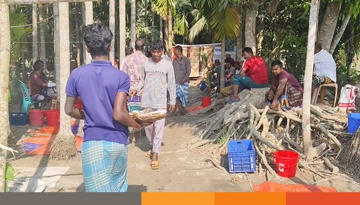 চাঁদপুরে জাটকা বিক্রির ছড়াছড়ি