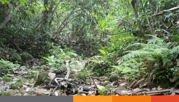 জলবায়ু পরিবর্তনের প্রভাবে রাঙামাটির দুর্গম পাহাড়ি গ্রামে পানির তীব্র সংকট জলবায়ু পরিবর্তনের প্রভাবে রাঙামাটির দুর্গম পাহাড়ি গ্রামে পানির তীব্র সংকট