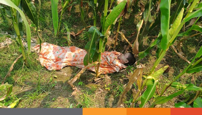 নাটোরে নিখোঁজের একদিন পর ভুট্টা ক্ষেত থেকে শিশুর মরদেহ উদ্ধার