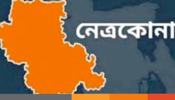 নেত্রকোনায় কিশোরীকে ধর্ষণের অভিযোগ