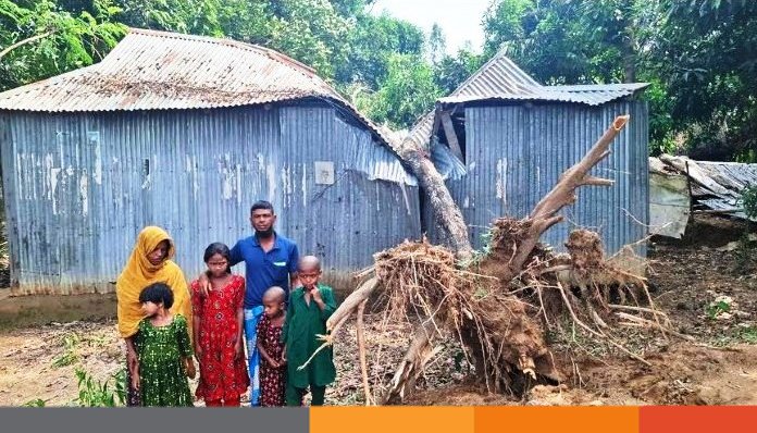নেত্রকোনার দুর্গাপুরে সরকারি গাছ পড়ে এক কৃষকের ব্যপক ক্ষয়ক্ষতি নেত্রকোনার দুর্গাপুরে সরকারি গাছ পড়ে এক কৃষকের ব্যপক ক্ষয়ক্ষতি