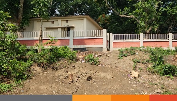 প্রধান শিক্ষকের সহযোগিতায় সরকারি গাছ কেটে নেওয়ার অভিযোগ যুবদল নেতার বিরুদ্ধে প্রধান শিক্ষকের সহযোগিতায় সরকারি গাছ কেটে নেওয়ার অভিযোগ যুবদল নেতার বিরুদ্ধে