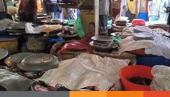 মুন্সীগঞ্জ বাজারে টোল বৃদ্ধির প্রতিবাদে মাছ বিক্রি বন্ধ