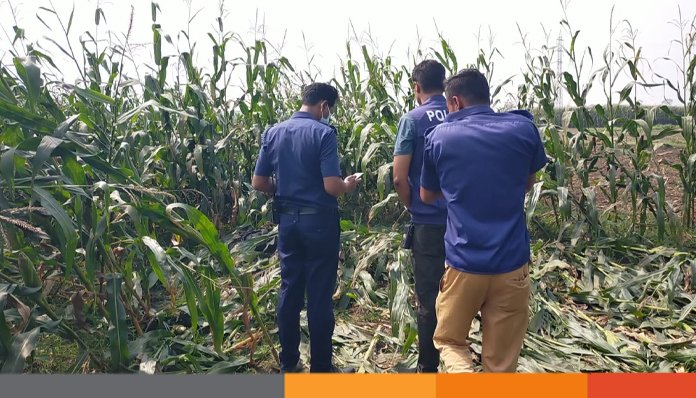 মেহেরপুরে ভুট্টা ক্ষেত থেকে অজ্ঞাত ব্যক্তির মরদেহ উদ্ধার
