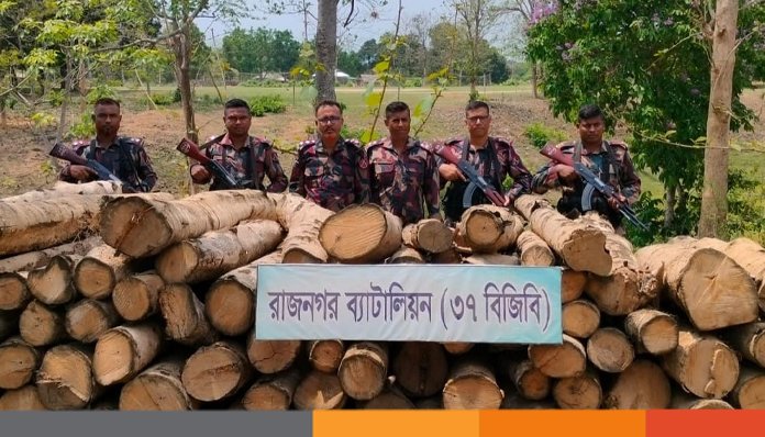 রাঙামাটিতে বিজিবির অভিযানে অবৈধ কাঠ জব্দ