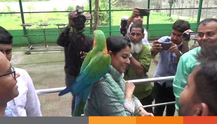 শ্রীপুরে সাফারী পার্ক থেকে লেমুর চুরি: উদ্বিগ্ন উপদেষ্টা